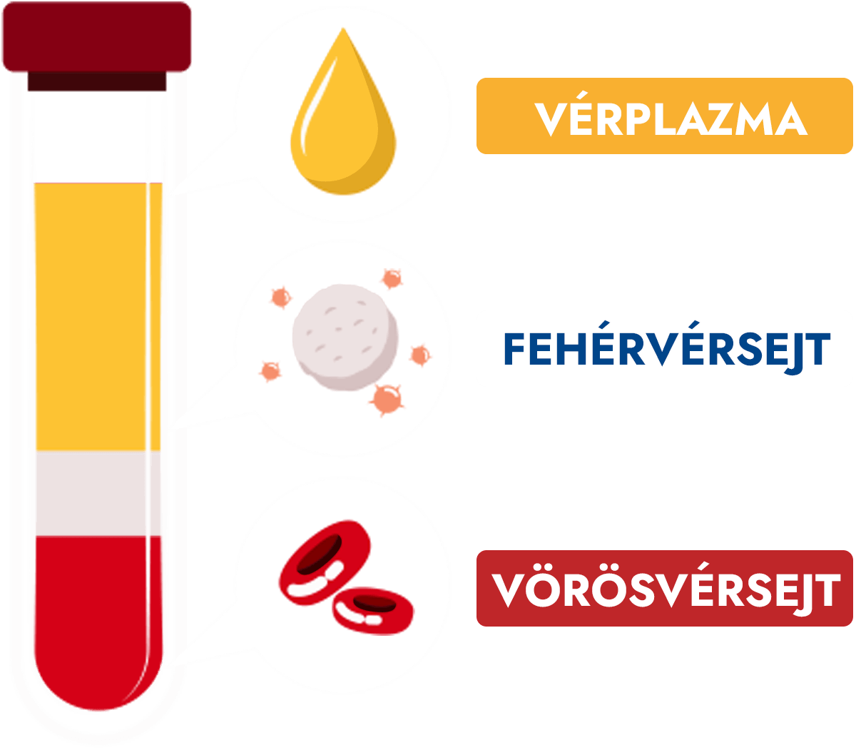 Mi is az a vérplazma?
